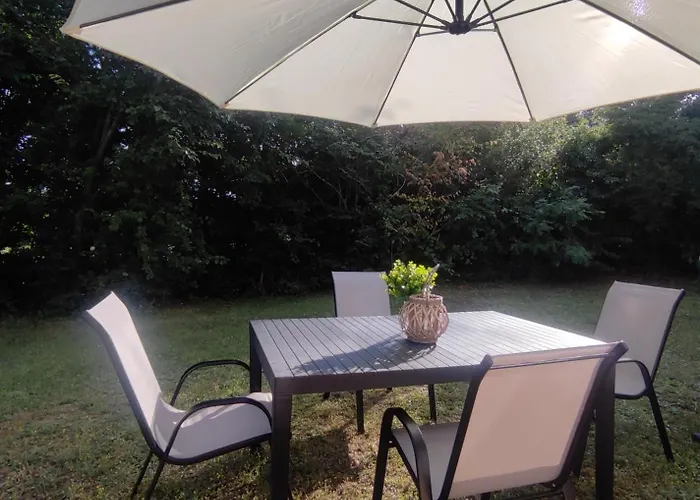 Summer Nedeščina
