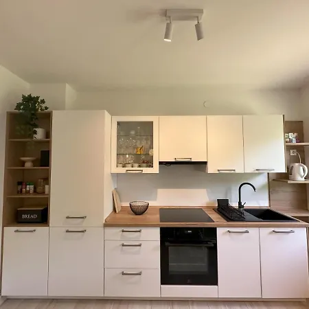 Summer Apartment Nedescina